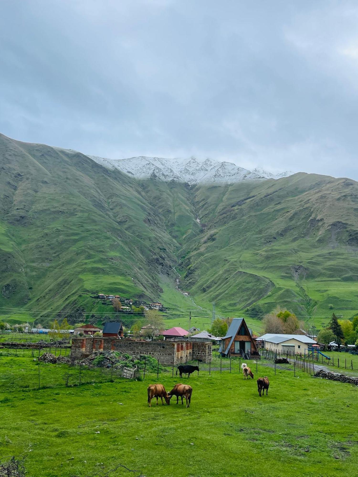 Villa Take A Break Kazbegi Exterior foto